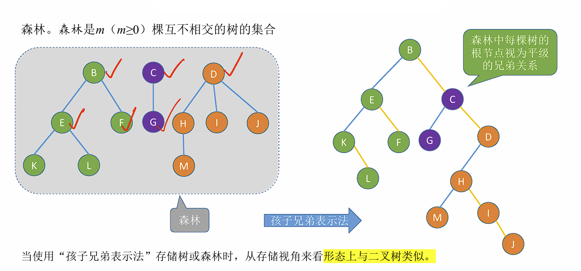 请输入图片描述