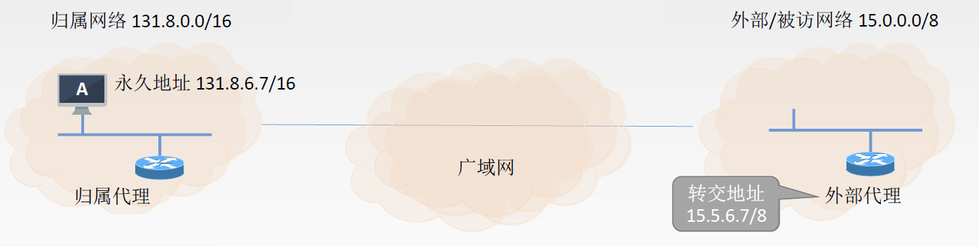 image-20241107224955581.png
